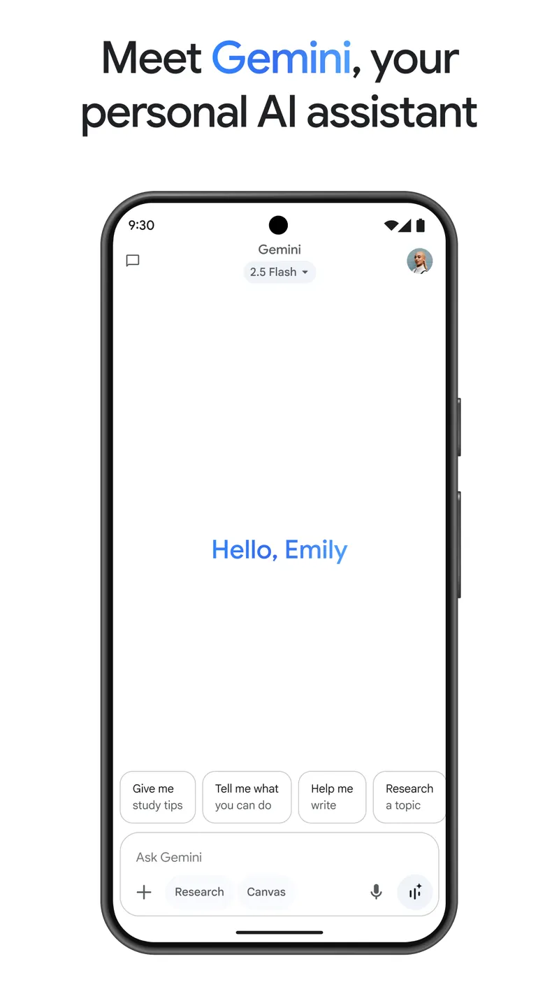 Google Gemini screenshot 2